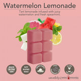 Watermelon lemonade ilmvax